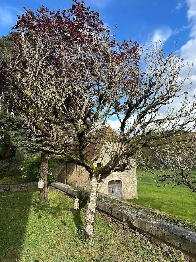 Vakantiehuis Domaine De Nazac Saint-Sulpice  France